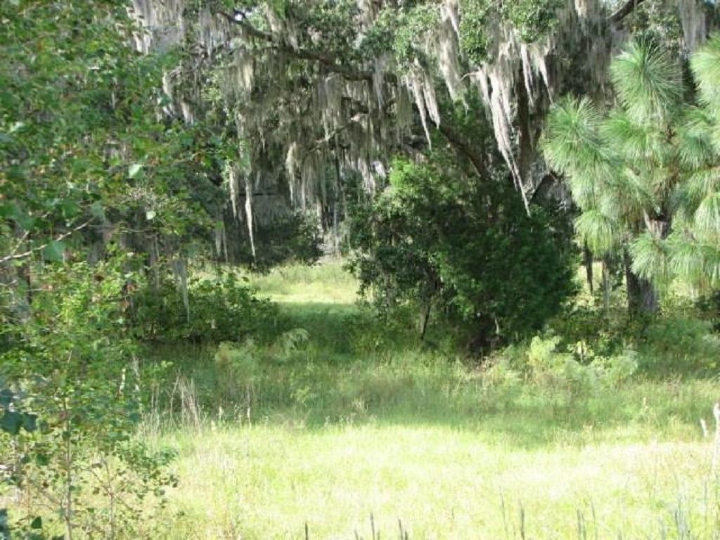 2140 South Lecanto Highway, Lecanto, FL 34461